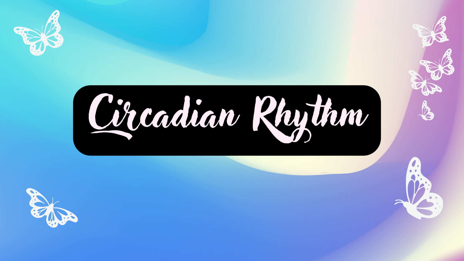 Circadian Rhythm