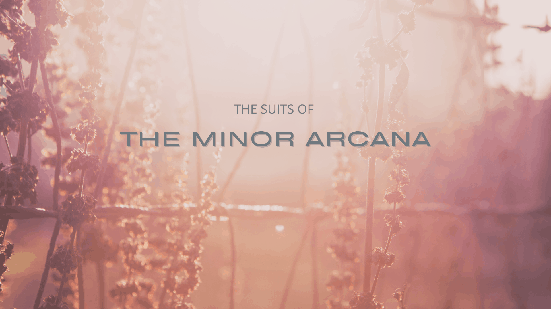 The Suits of the Minor Arcana