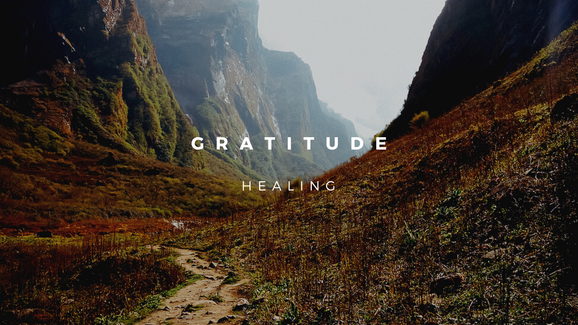 Healing with Gratitude: The Power of Being Grateful