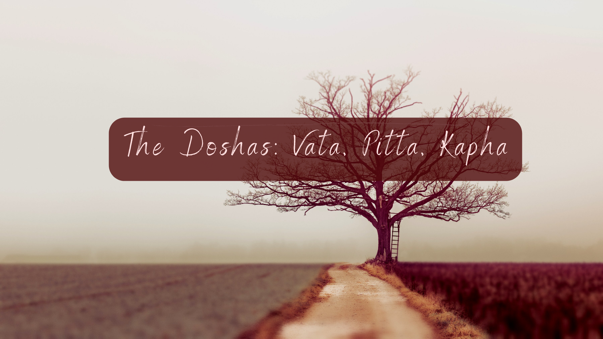 The Doshas: Vata, Pitta, and Kapha