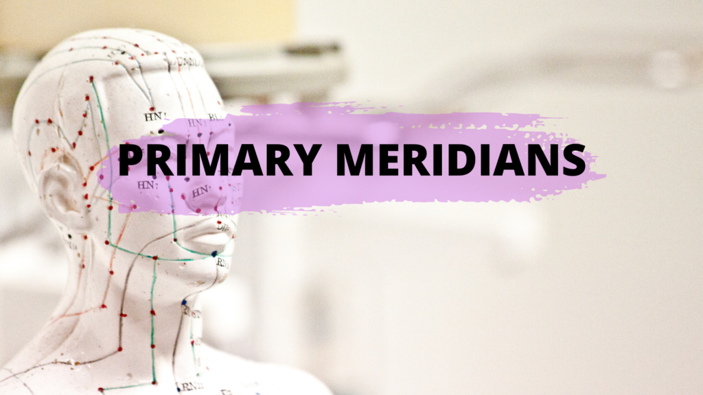 meridians